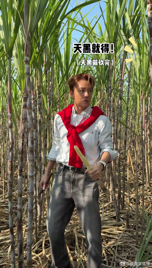 吴克群手写奖状被印上奶茶小票蜜雪冰城回应小票又更新了从《为你写诗》到公益践行者，