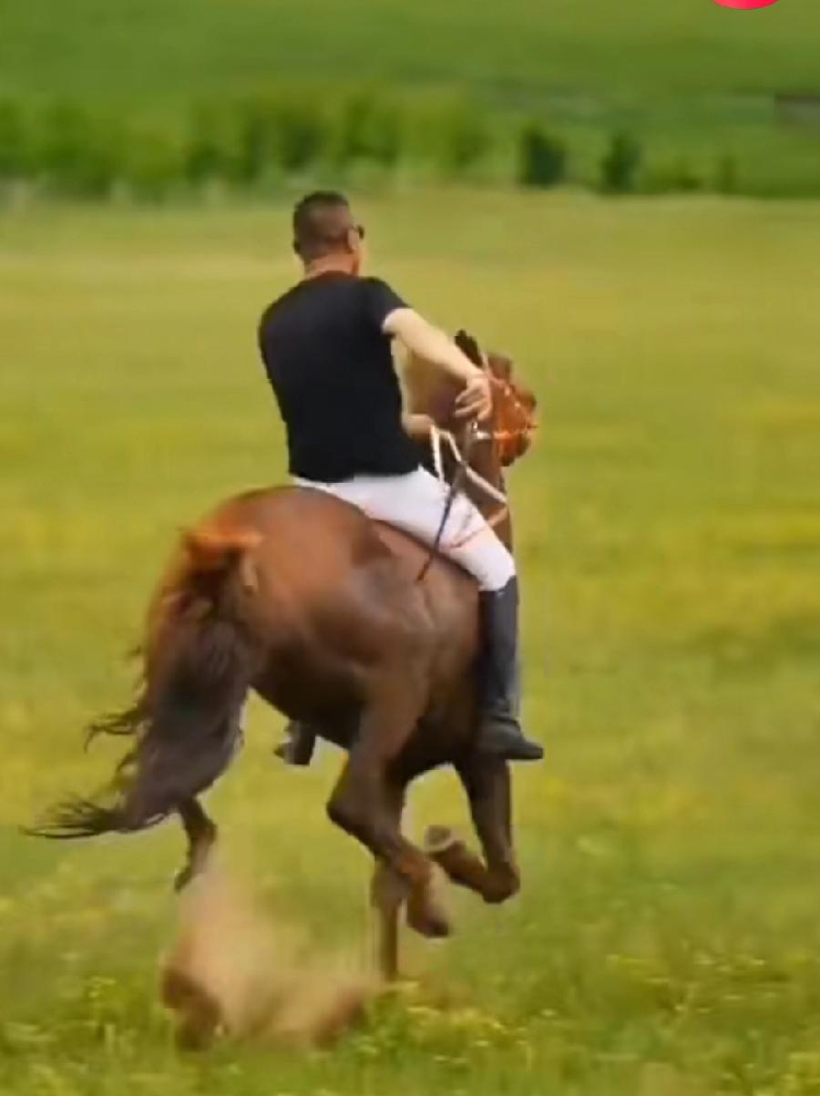 假期结束，开始搬砖喽！
2026年，既然上了马背，就要马上有钱，马上有闲，马上升