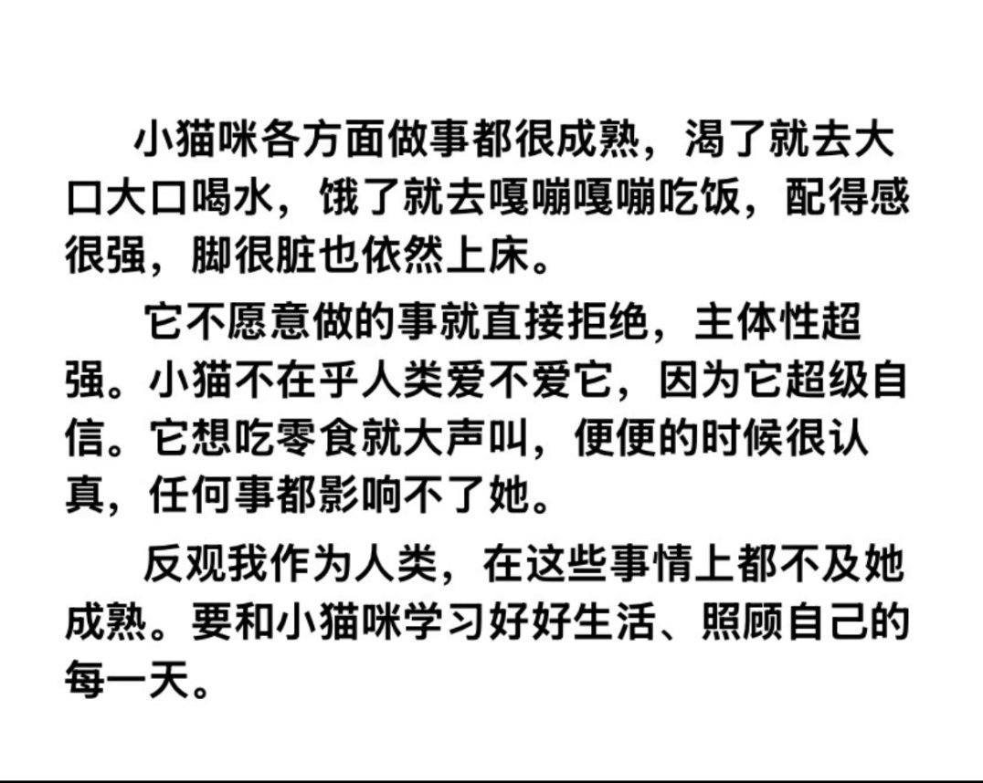 小猫咪各方面做事都很成熟。我家猫就是这样的，不喜欢吃的一口不吃，不喜欢被抱就拒绝
