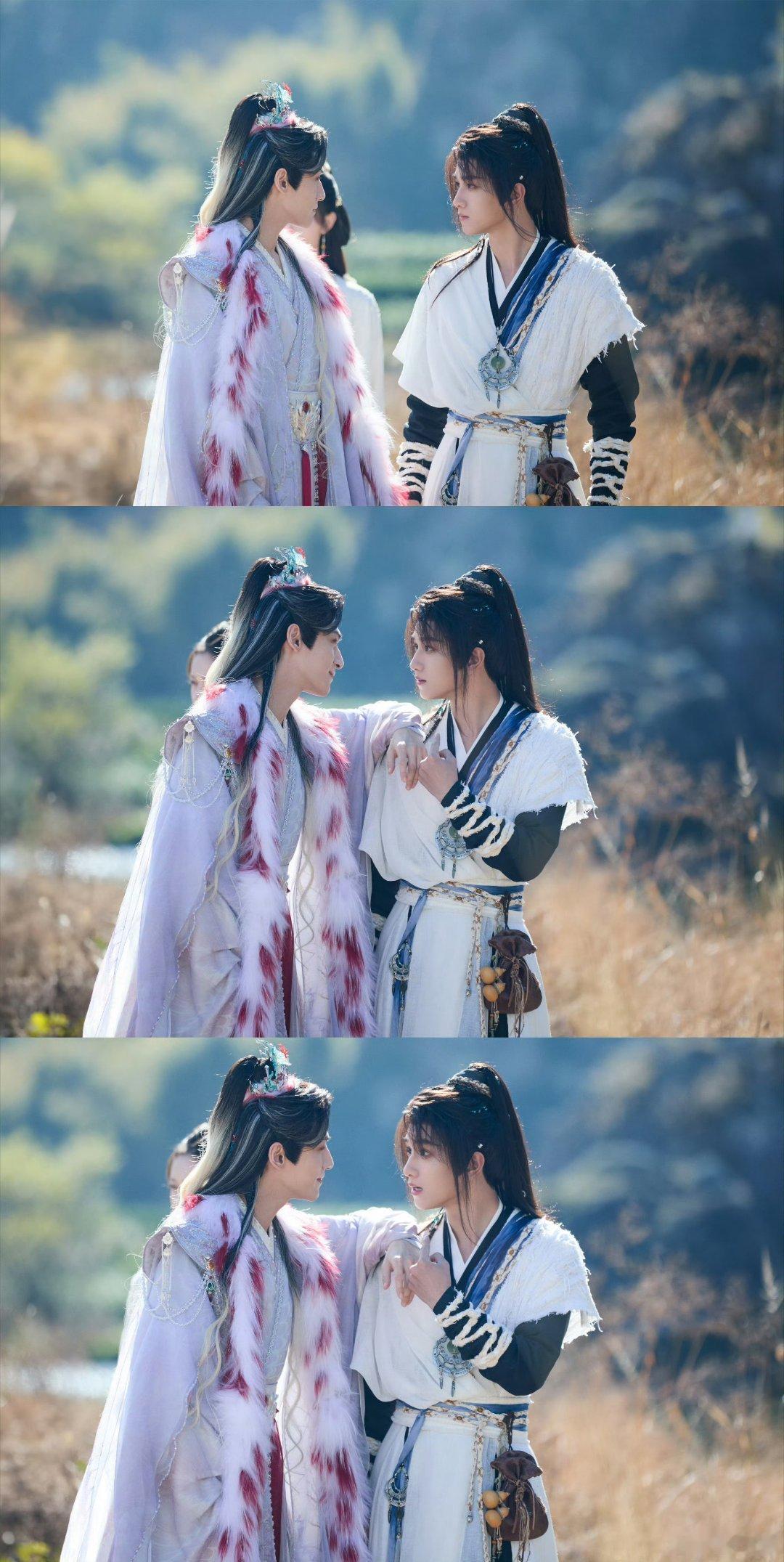 鲜活小狗倒在寂静小路，唐俪辞亲手挥别挚友的遗憾谁懂！“等不到你”的台词刀穿心脏，