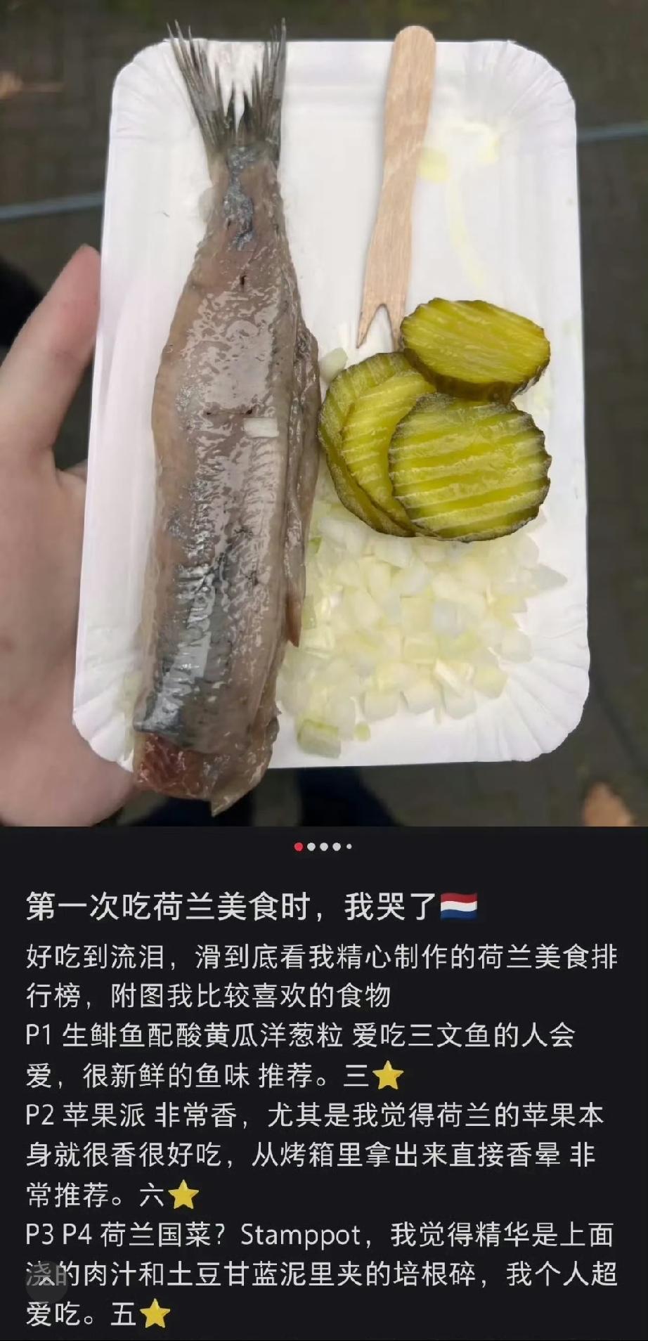 第一次吃荷兰美食，他（她）哭了，好吃到流泪……这点东西，很好吃吗？不理解，但尊重