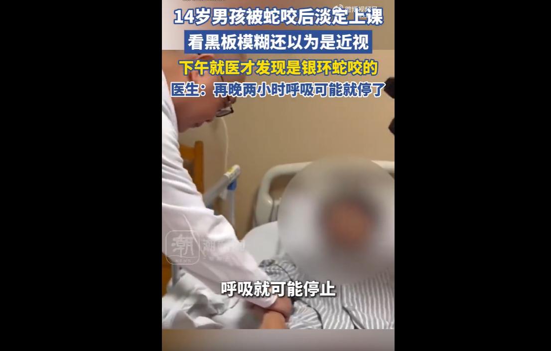 5月8日，广州一名14岁学生在校园草丛捡东西时，被剧毒银环蛇咬伤手臂。
因伤口仅