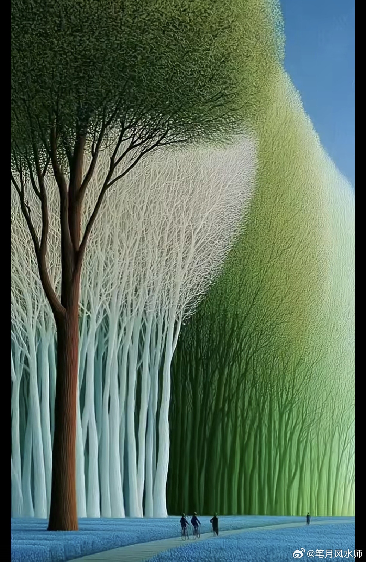 树之韵 
