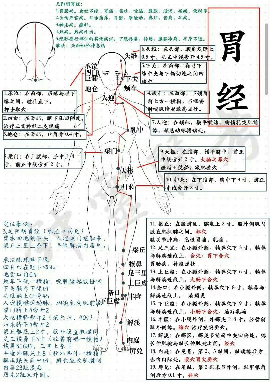 中医入门知识：十四经穴位+辨位歌诀 ​​​