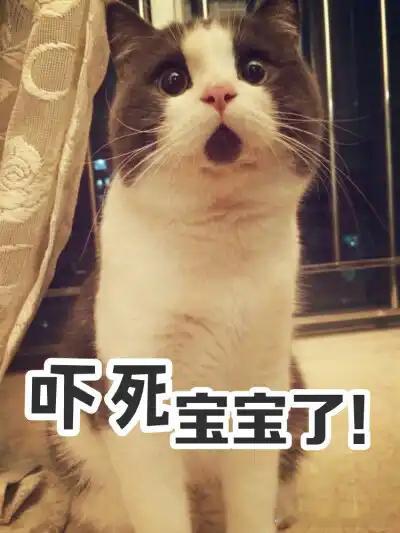 车银优个人赚了500亿以上乍一看我以为是Q币呢，玛德，原来是韩币 