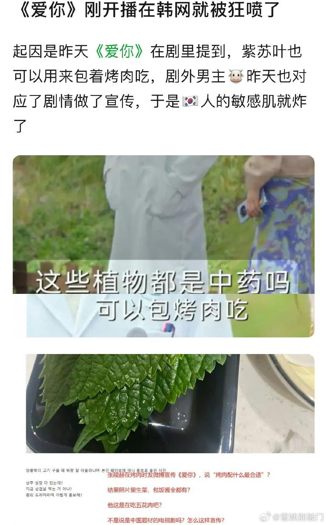 张凌赫、徐若晗的《爱你》剧中提到紫苏叶不仅是中药还可以包烤肉吃，被韩国网友怒喷，