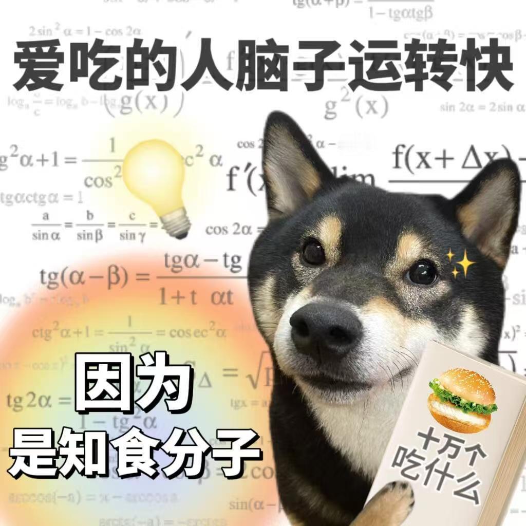 等我老了才不会玩这些梗 年轻立flag，老了全推翻，只要心态年轻，玩梗不分年龄！