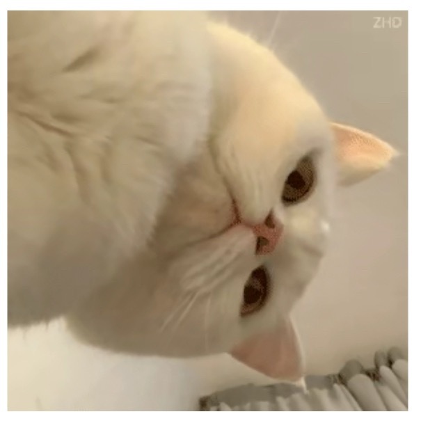 我就这样懵逼的看着这个互联网 