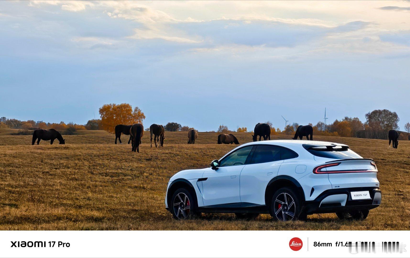 十月，秋意渐浓，河北承德的塞罕坝已披上金装。用 拍 ，一起感受层林尽染的秋日氛围