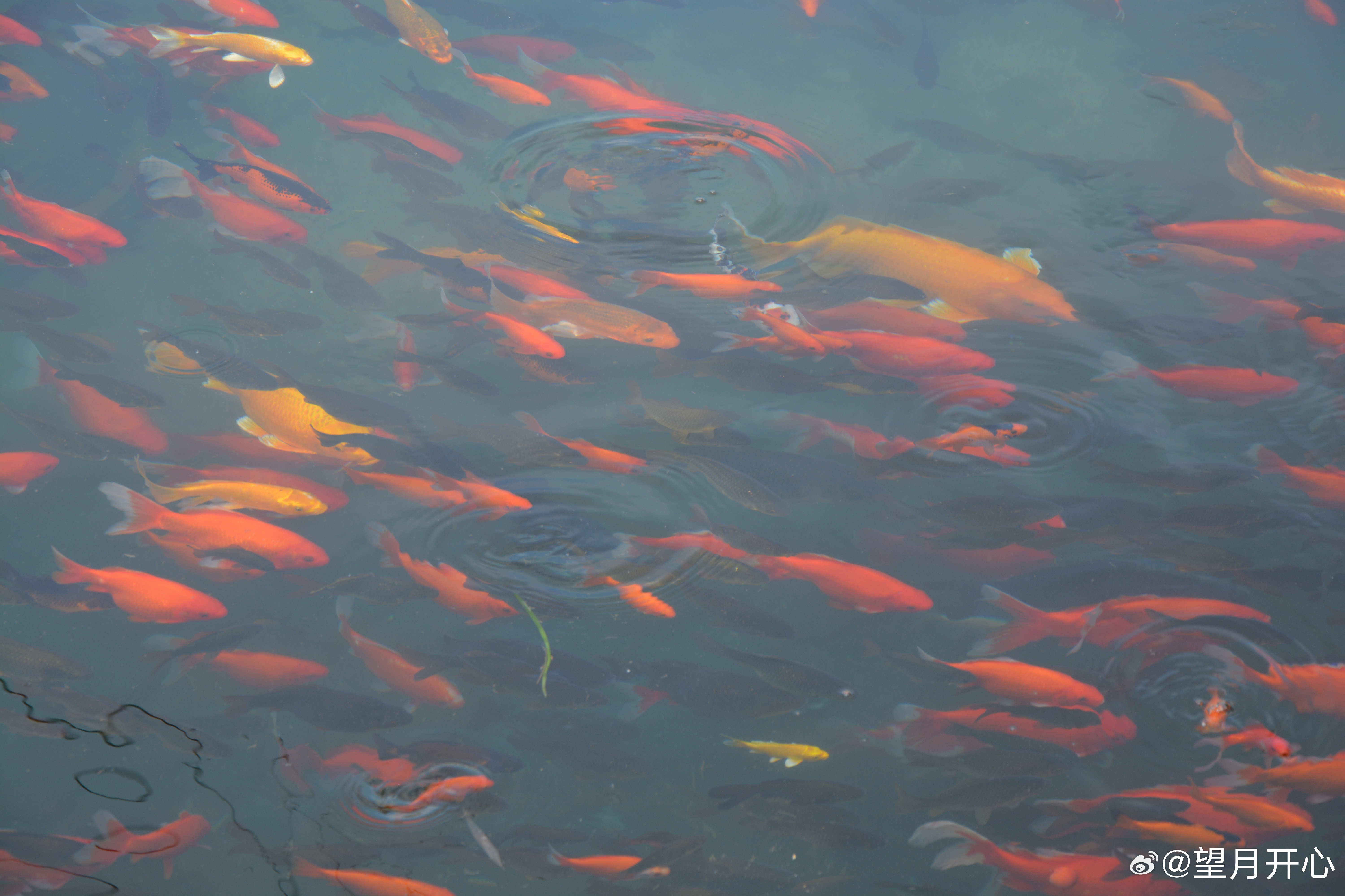 省考祝各位都能顺利 