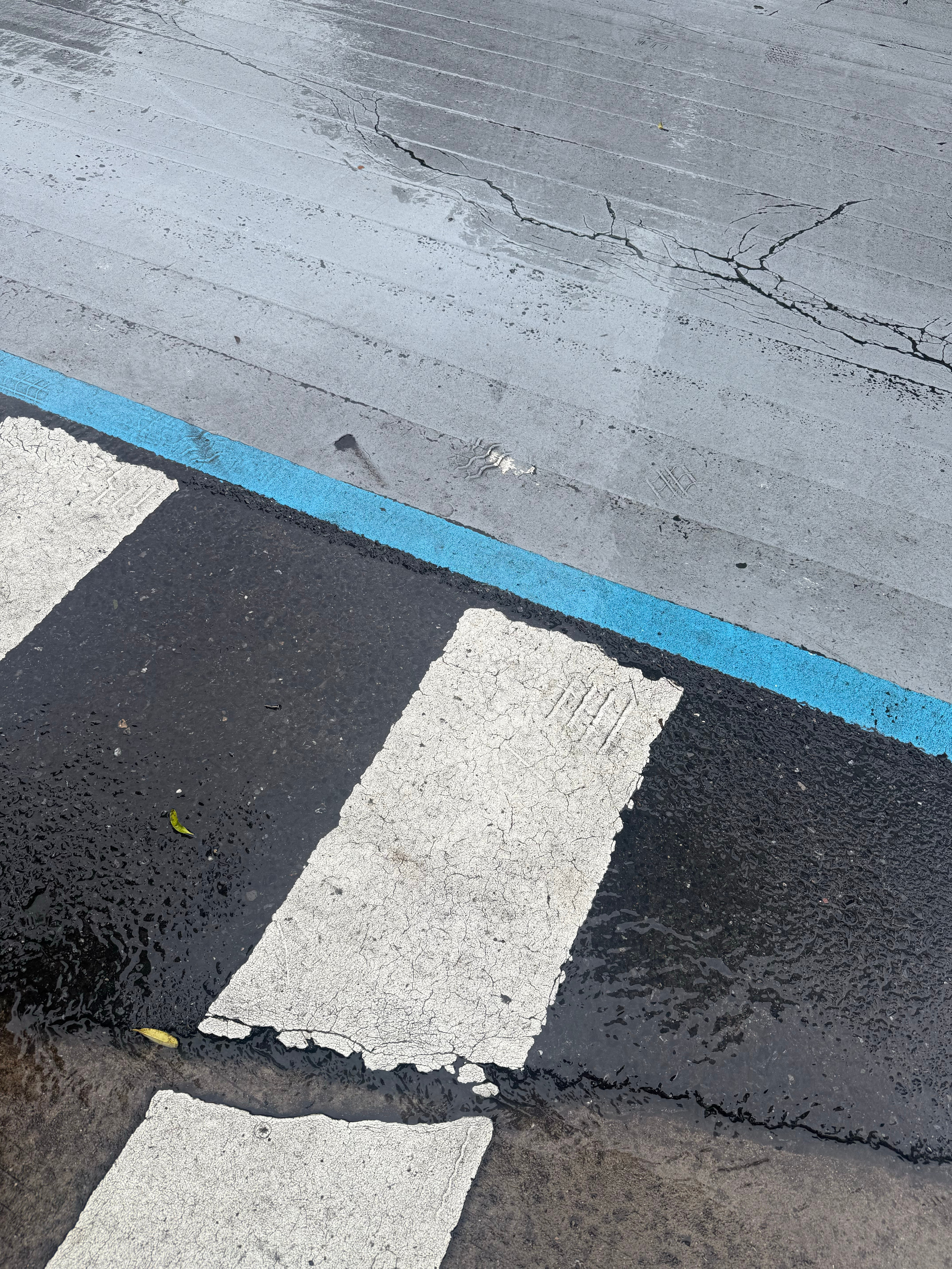 日常日常生活分享 为什么我有一种下雨天道路 挺好看的感觉 