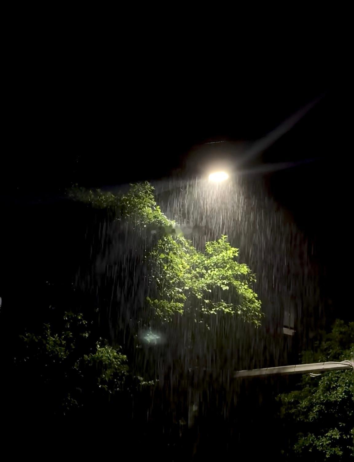 深夜落雨，声势动人。雷声轰鸣，电光乍现⚡️立刻关掉空调，推开窗户。晚风携着雨水的