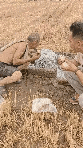 这样的吃喝画面，很多人是享受不到的，带着田园的气息，带着泥土的芬芳，边吃着，边喝