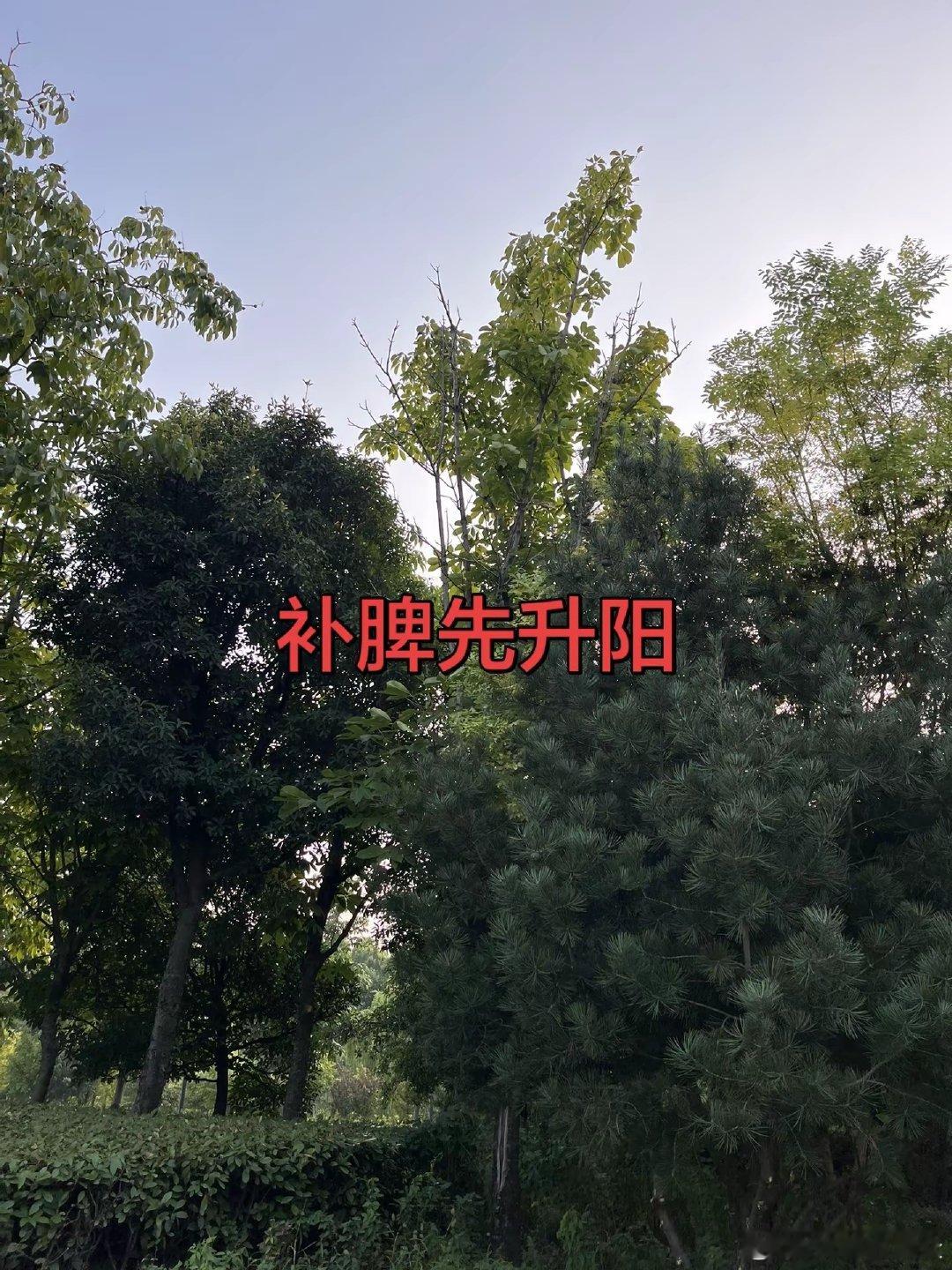 2026年斯诺克上海大师赛半决赛，中国选手吴宜泽6比10不敌世界第一特鲁姆普，无