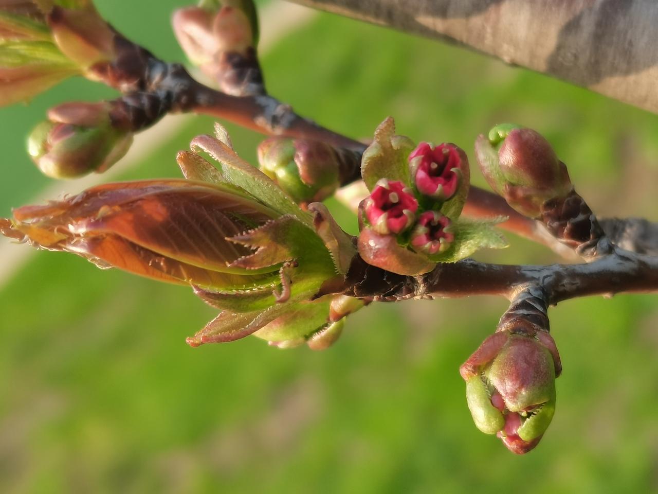 低级谣言当休矣
 
网络造谣早已无底线，竟有人编造柴桑让三石抢夺许敏房子的荒唐言