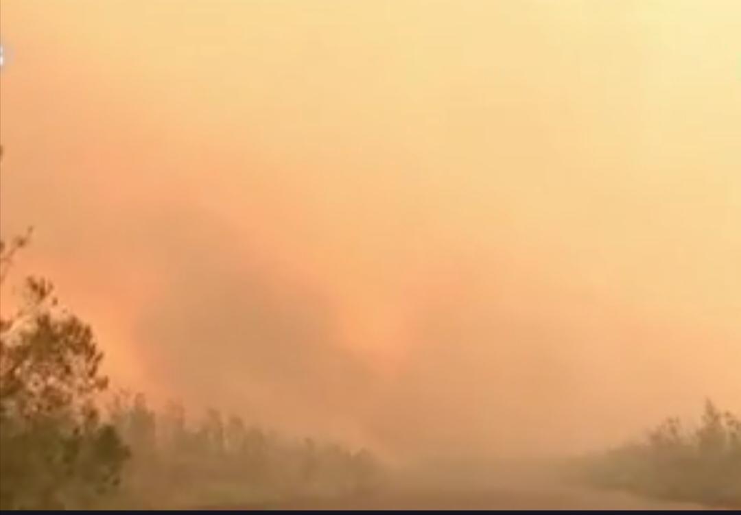 全球气候警报再响：2026年厄尔尼诺将如何重塑我们的天气？
据世界气象组织4月2