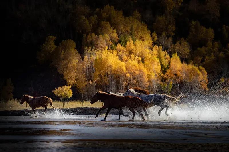 上联：泛舟江上拾春色，安子邀对策马林间揽秋光。