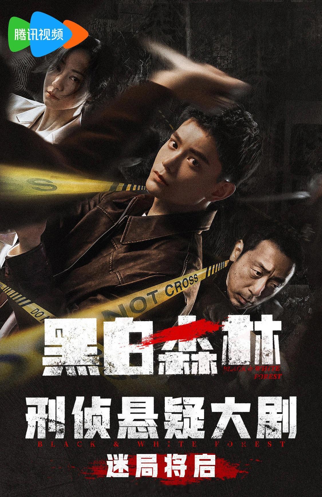 黑白森林招商  25年开年刑侦悬疑大剧《黑白森林》招商开启，丁禹兮、宁理、韩雪主