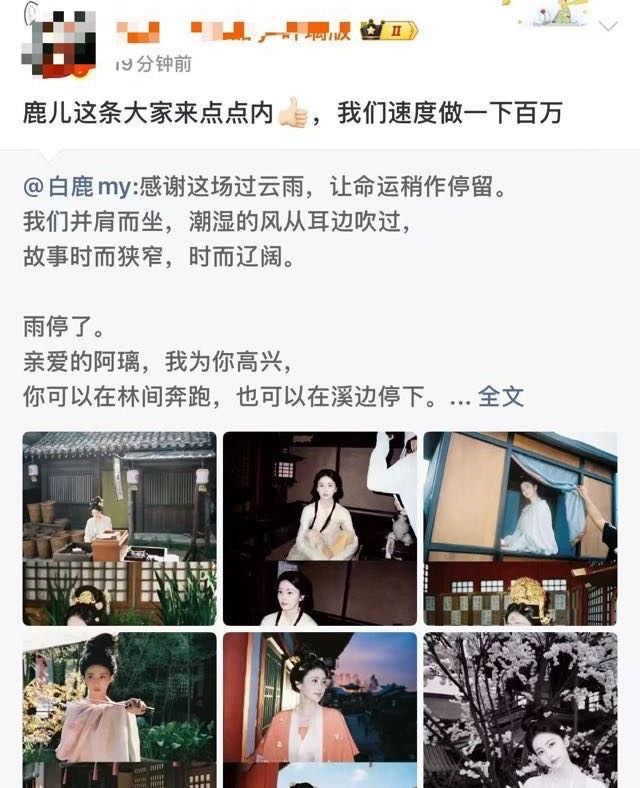 必须复盘一下白男丝到底有多丢人，一败，白男开一键防护给自己评五条怕被砣子打！二败