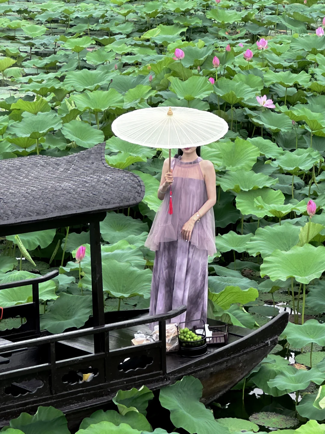 今年夏天终于等到了扬州荷花的乌篷船啦❗️