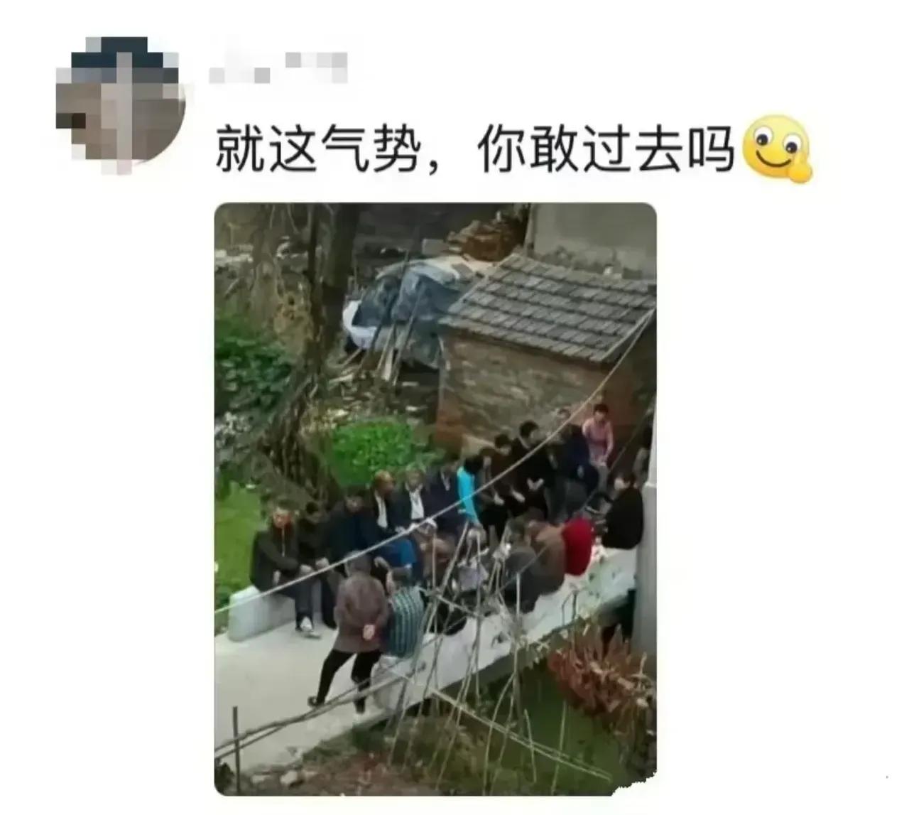 真的不敢[捂脸]