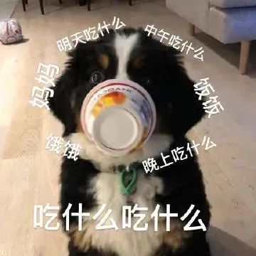 今早吃什么？金枪鱼饭团关东煮咖啡好像买多了，中午大概又吃不下…… 