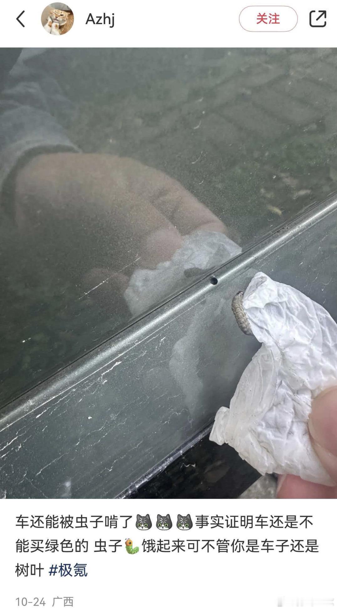 如果你的车无缘无故多了个洞很可能就是虫子咬的车身都能咬破太可怕了[捂嘴哭] ​​