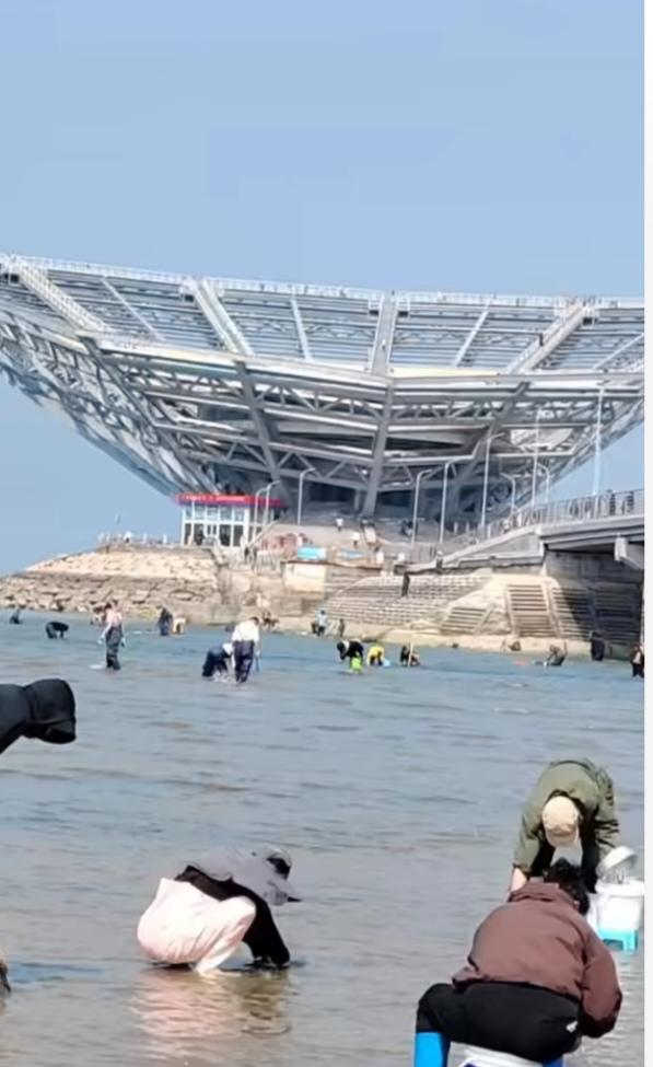 〔赶海〕
今天又是落潮日；
赶海大军还挺多；
有弄蚬子和贝类；
还有礁石打蛎蝗；