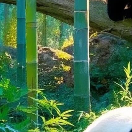 熊猫守护者[超话]  💫阳光信用  💫‍熊猫守护者 做从未做的事，叫成长;做