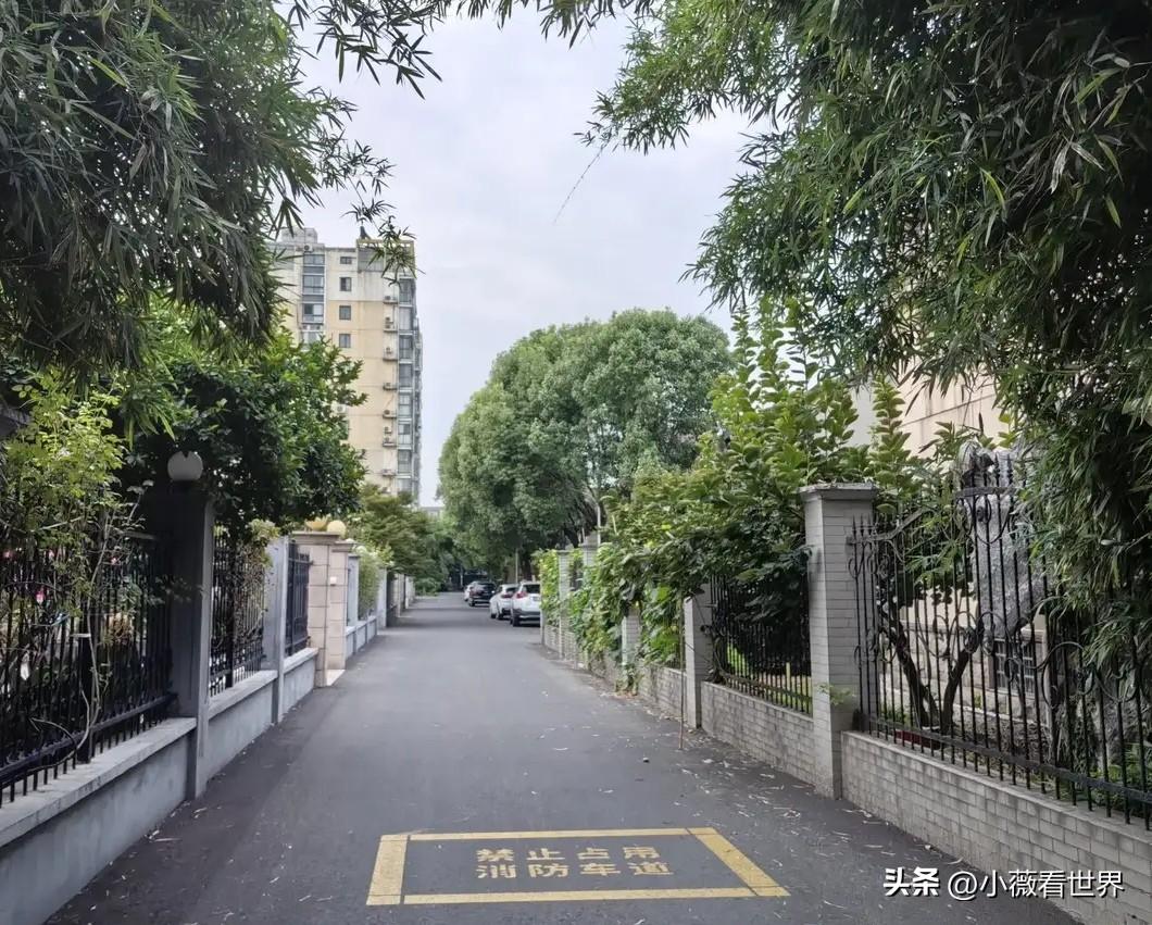 傍晚出去散步时，遇到了一对夫妻，住我们小区同一栋楼，不过他们在乙单元，我家在甲单