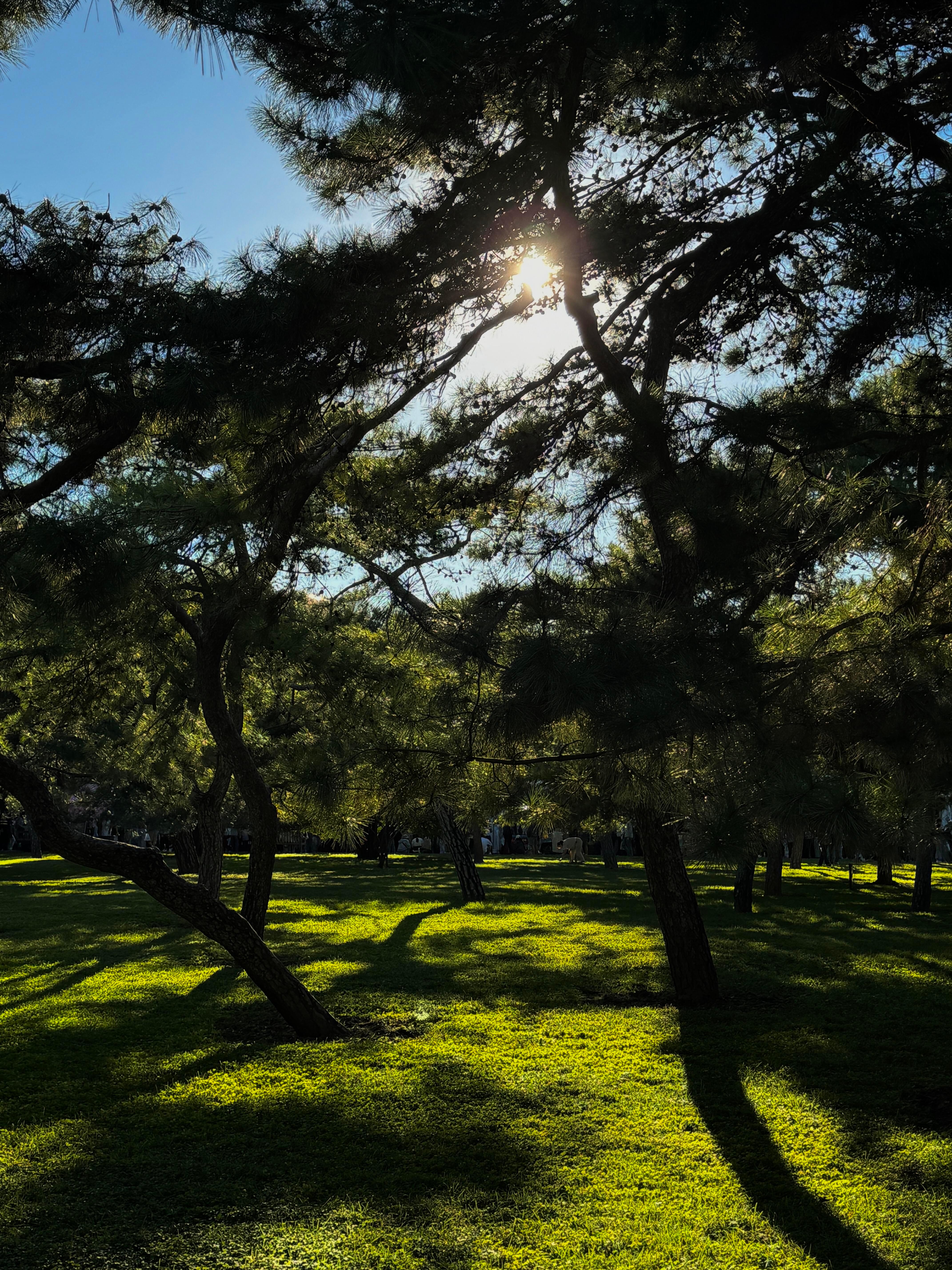 🍃Happy ᵕ̈ 🌹日子平淡，好在我喜欢 