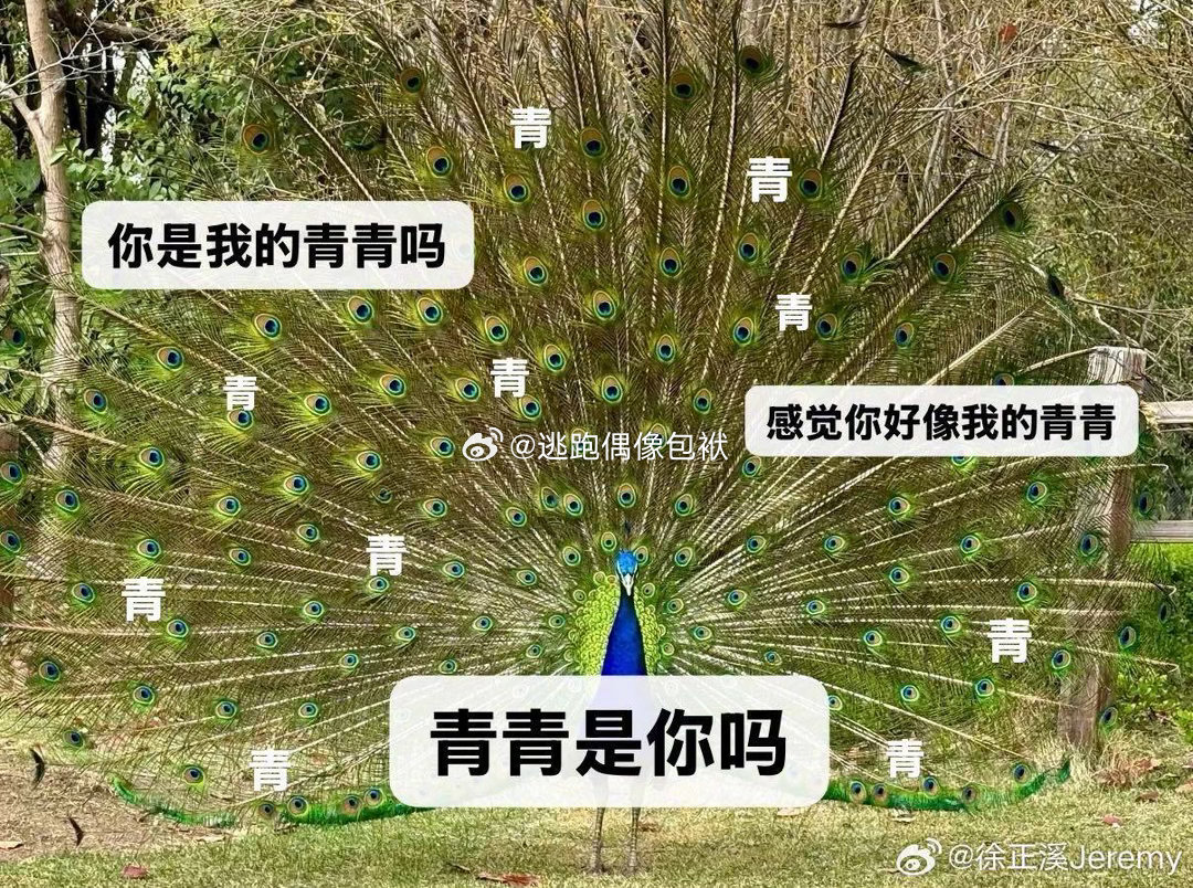 徐正溪回复孟子义徐正溪回应孟子义徐正溪暖心回复孟子义的留言，轻松有趣的对话引得一