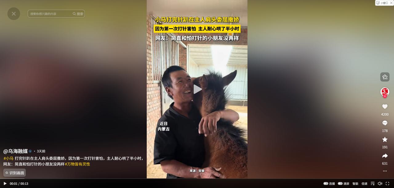 暖心又好笑，内蒙古一兽医来给小马打针，不料小马打完针见到主人来棚里时，竟一头趴在