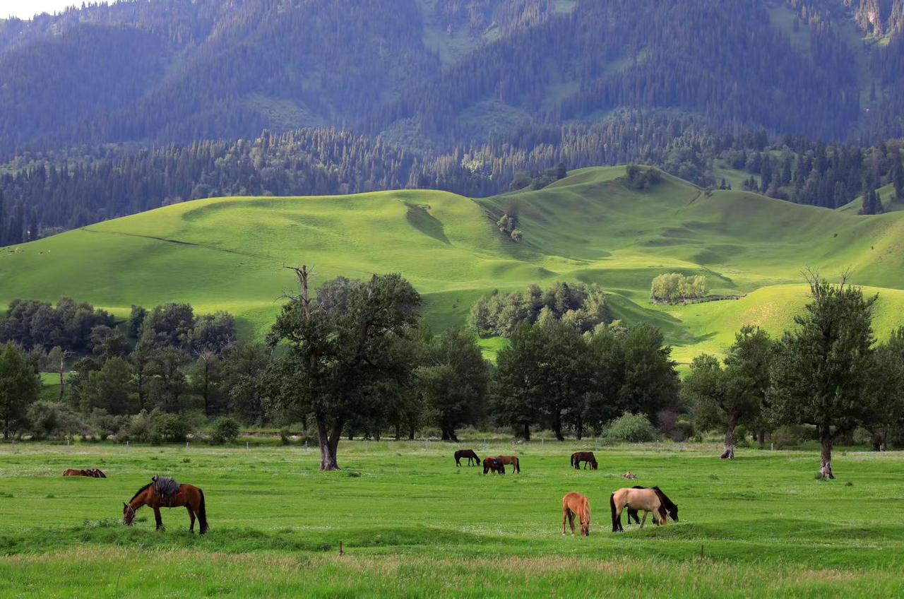 儿子:我们厂的机器可厉害了，这边扔头牛进去那边直接出来的就是牛肉香肠。
爸爸:那
