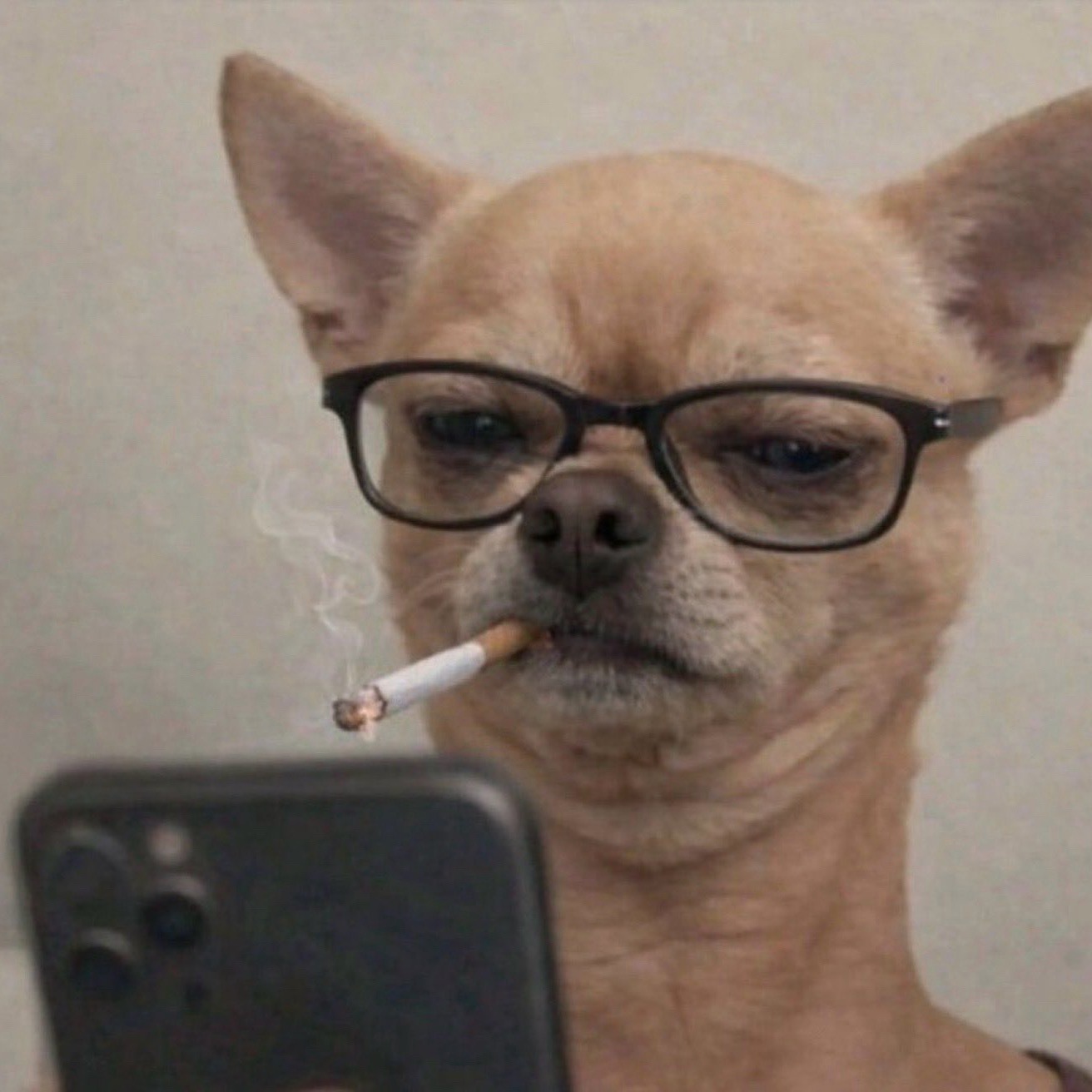 今天愚人节，什么消息你是绝对❗️一❗️个❗️字❗️也不会信的？