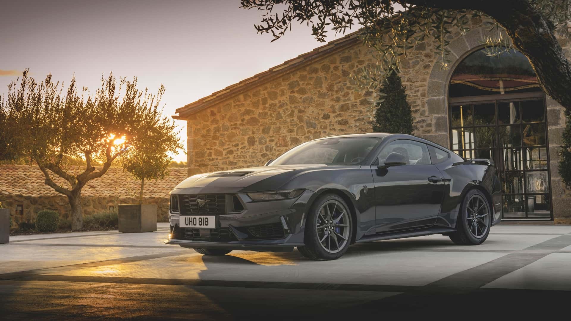 Ford Mustang Dark Horse ​​​​