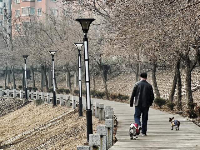 107岁老人，年轻像65岁，长寿秘诀不是多走路，而是这五件事