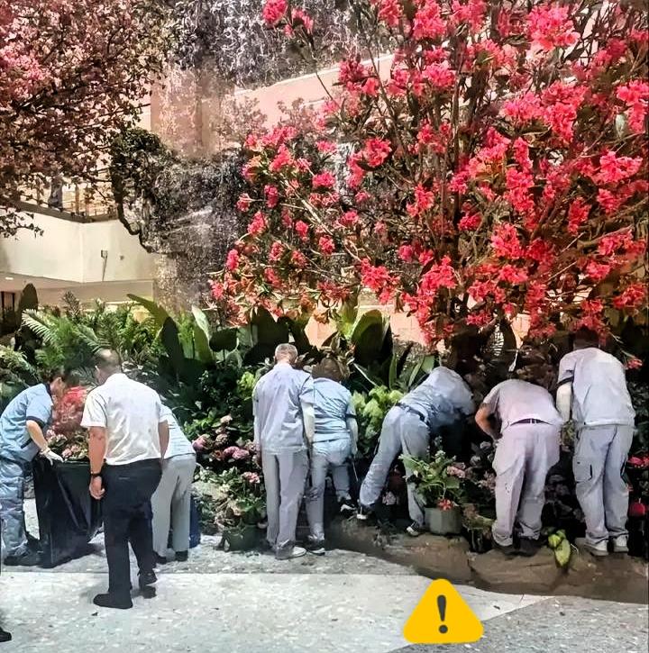 一碗饭，养一条命；一笔账，逼死一个人。
 
这是闯下了大祸了，现在西安赛格商场的