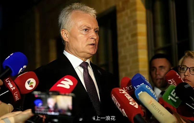 立陶宛承认对中国犯了巨大错误呵呵…立陶宛在涉及中国主权和领土完整的核心问题上的错