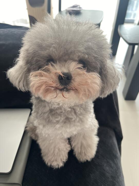 在姥爷家呆了一天回来后