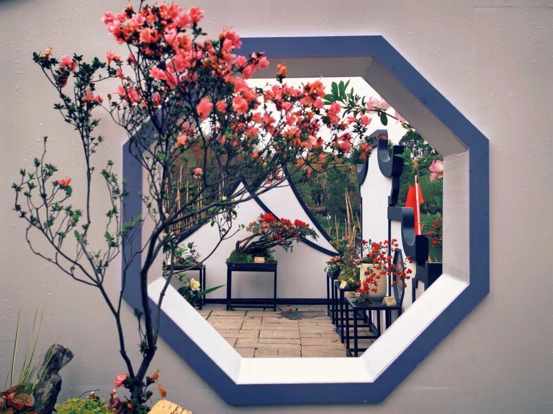 今年春天最想实现的心愿今天又下雪雨啦。到处湿漉漉的，很难受，下的还不小呢。真的挺