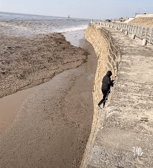 我都看着急的慌，他那不紧不慢的样子，真的这就叫在死亡的边缘疯狂徘徊！[祈祷]