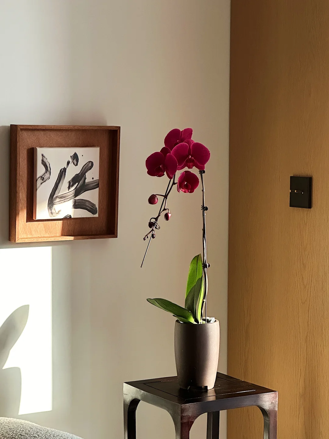 “年更”家居博主，终于想起来账号密码了😝