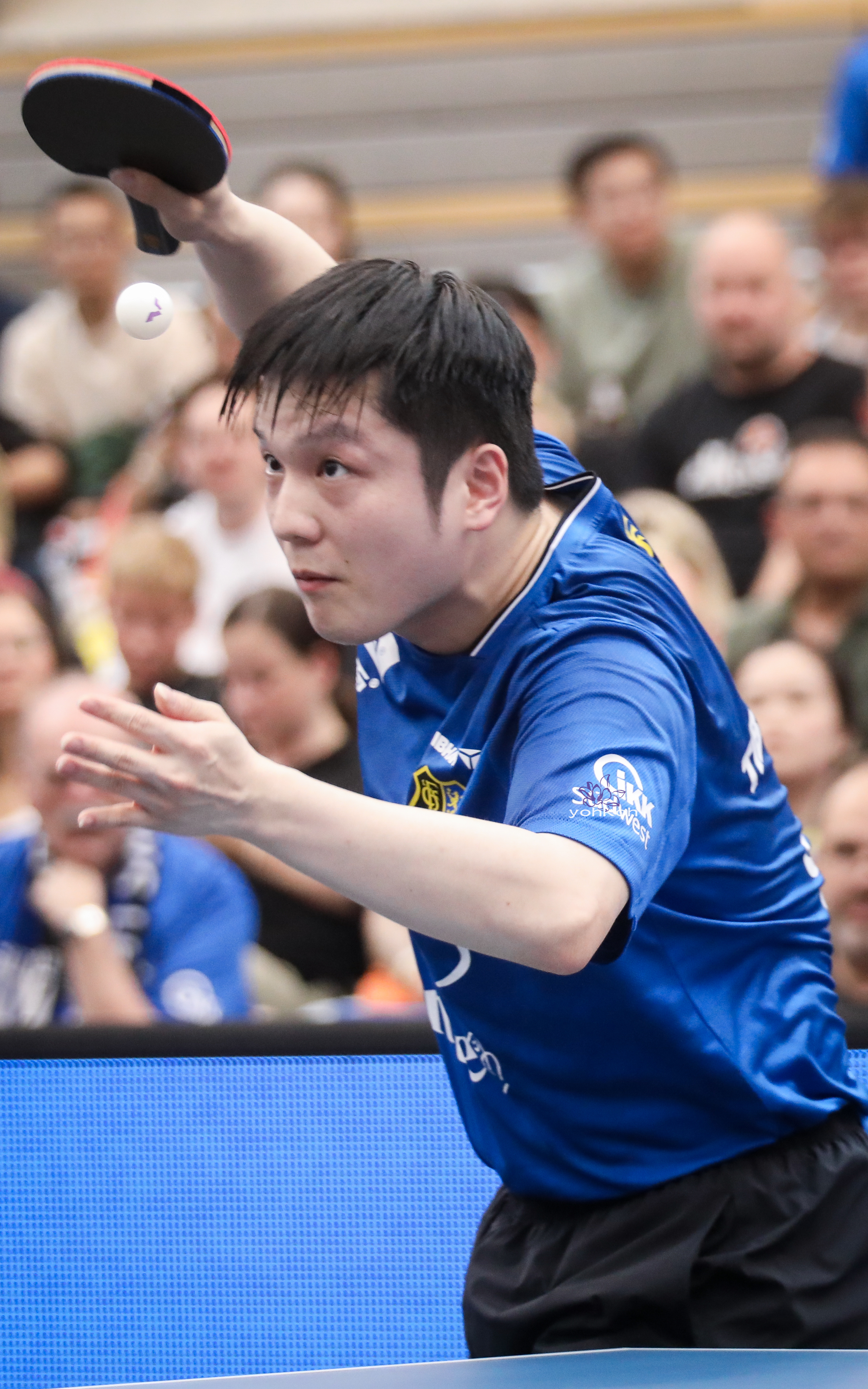 樊振东樊振东0122生日快乐 亲爱的樊先生生日快乐十一件战袍 十一分刻度这一岁 