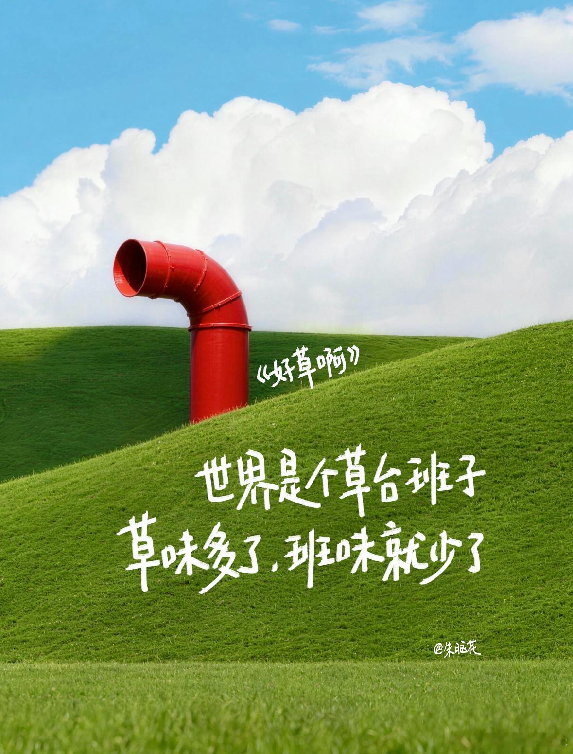 这些才是上班久了该看的‼️-树只感受季节不做季度总结《树职报告》世界是个草台班子