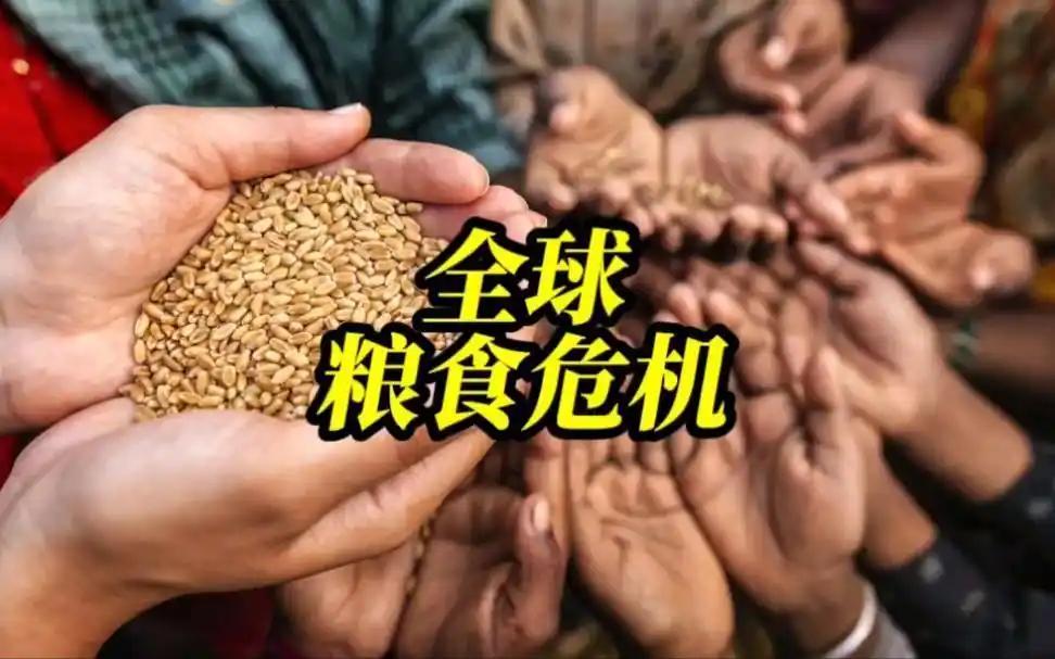 全球粮价，这回真要抖三抖了。中国该怎么办？9 月 17 号，印度推倒了 2026