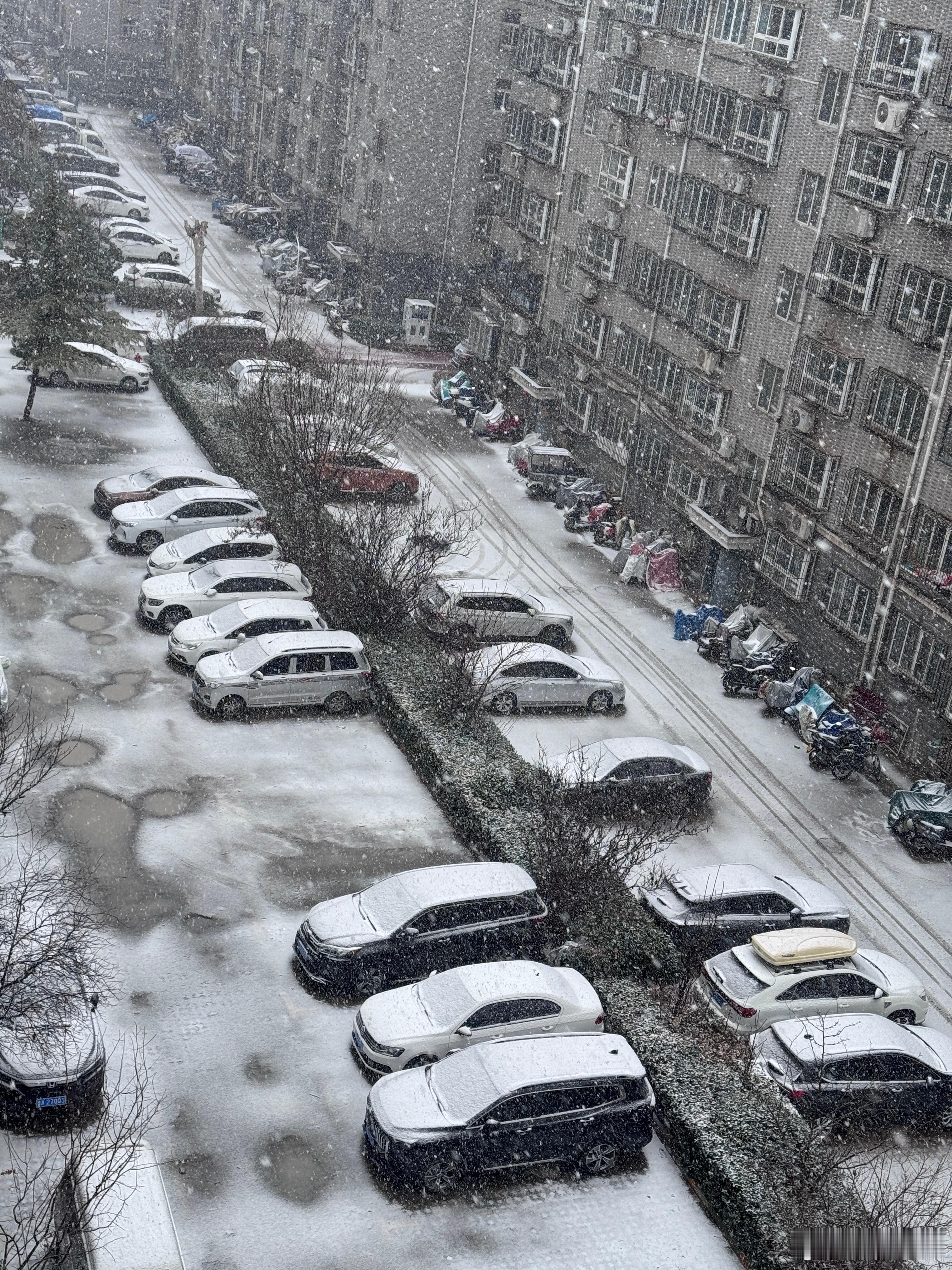 山东这回的雪下得挺大 车上的雪不低于20公分。 