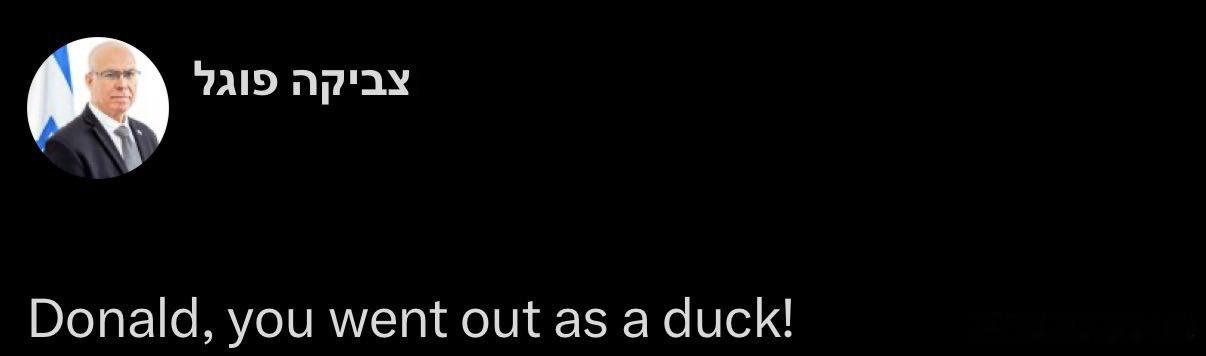 特拉维夫对美国特朗普总统和卫队停火表示不满以色列议会安全委员会主席茨维卡·福格尔