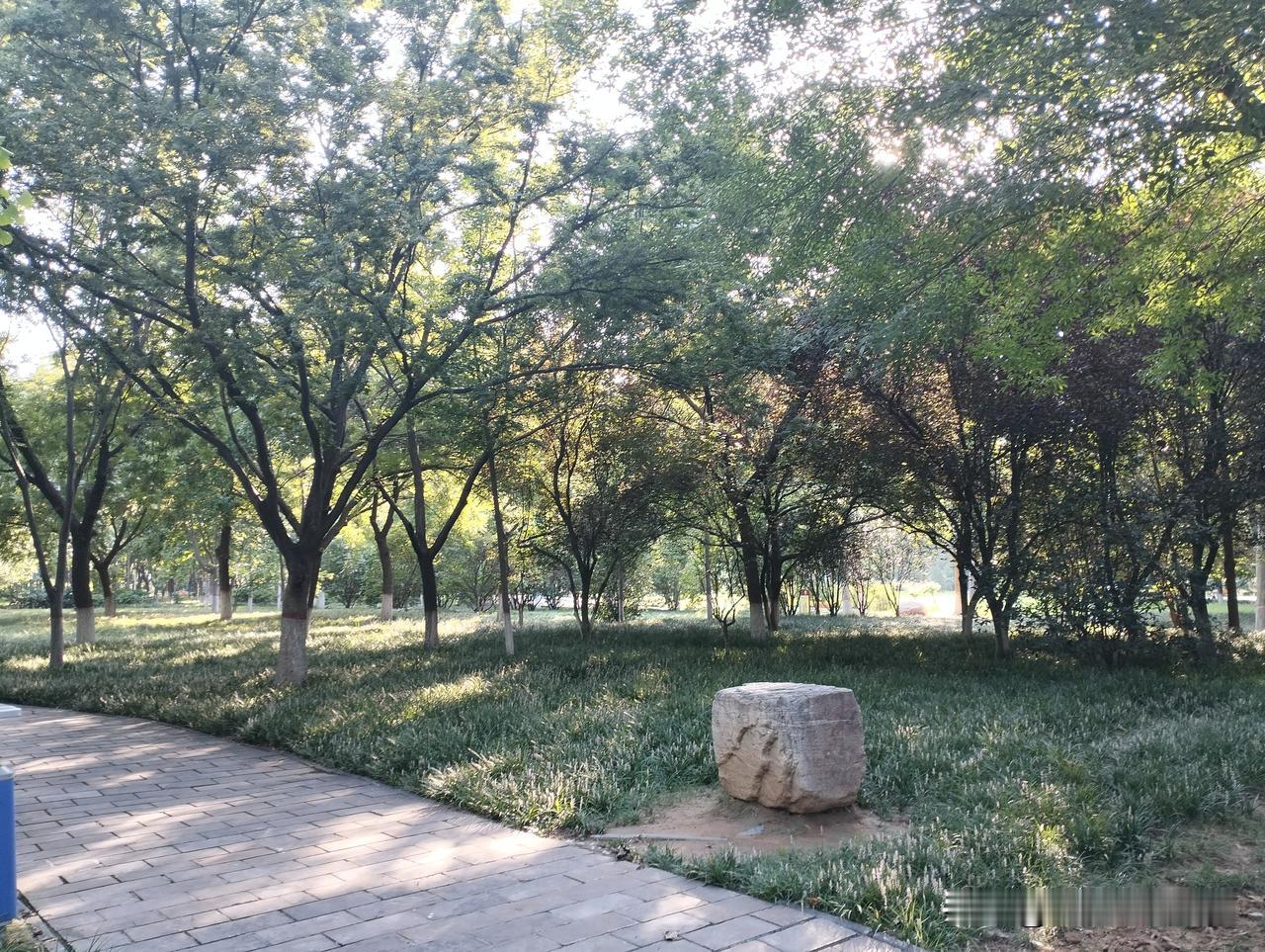 针尖朝下的针线盒

我妈有个铁皮针线盒，里头大头针永远针尖朝下插在软垫上。我嫌取