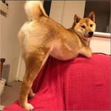 财来爱读体育